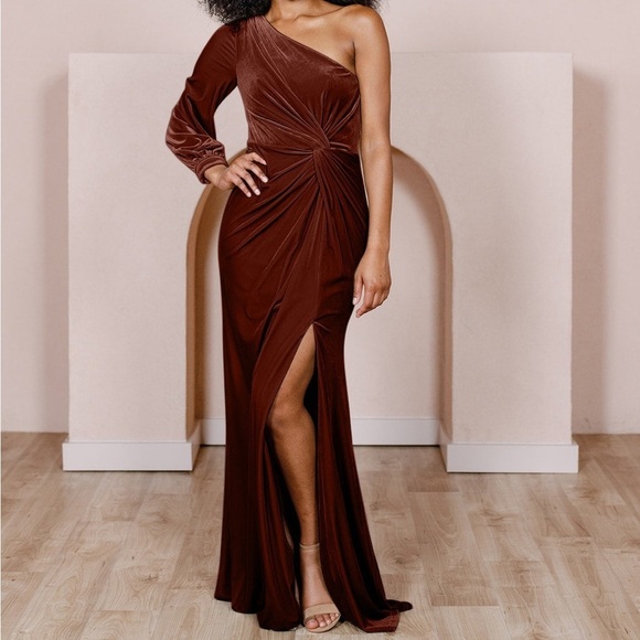 Revelry Dresses & Skirts - Revelry Aurora Velvet Dress in terracotta